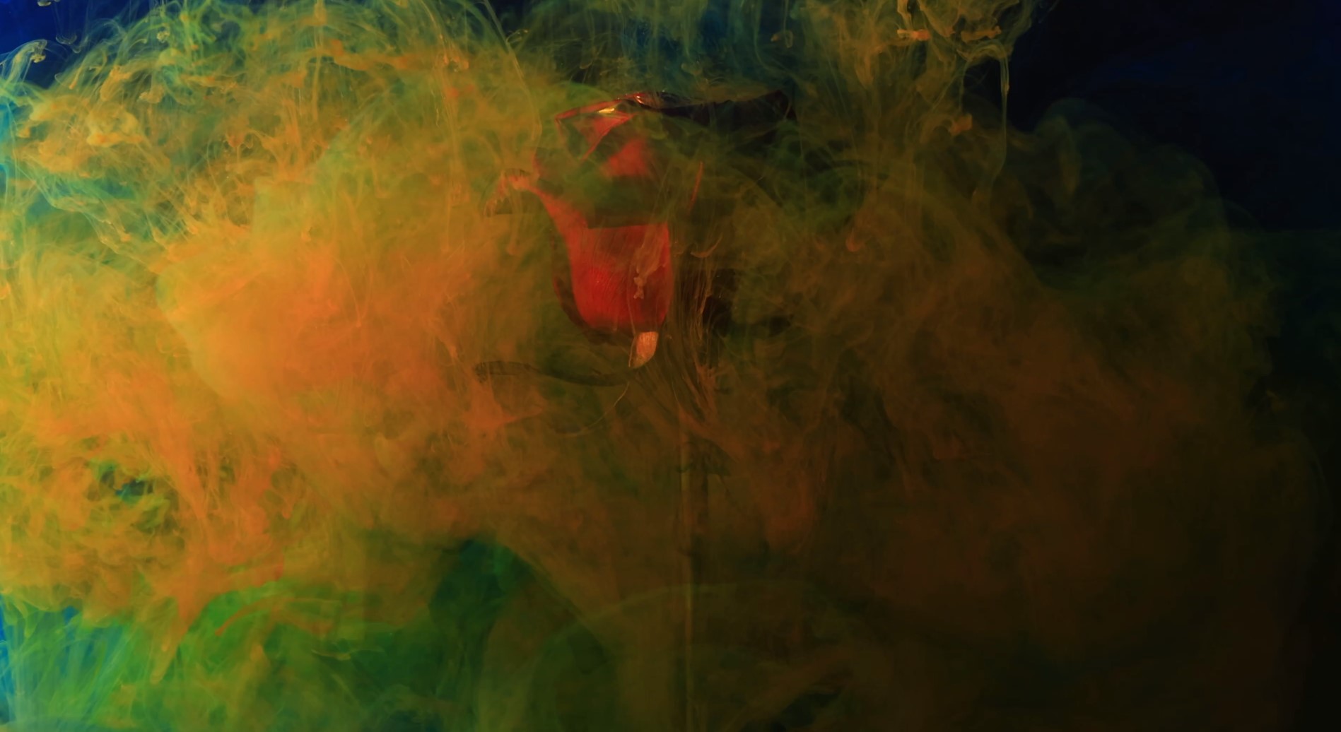 روابط انسان معاصر میان عشق و غریزه